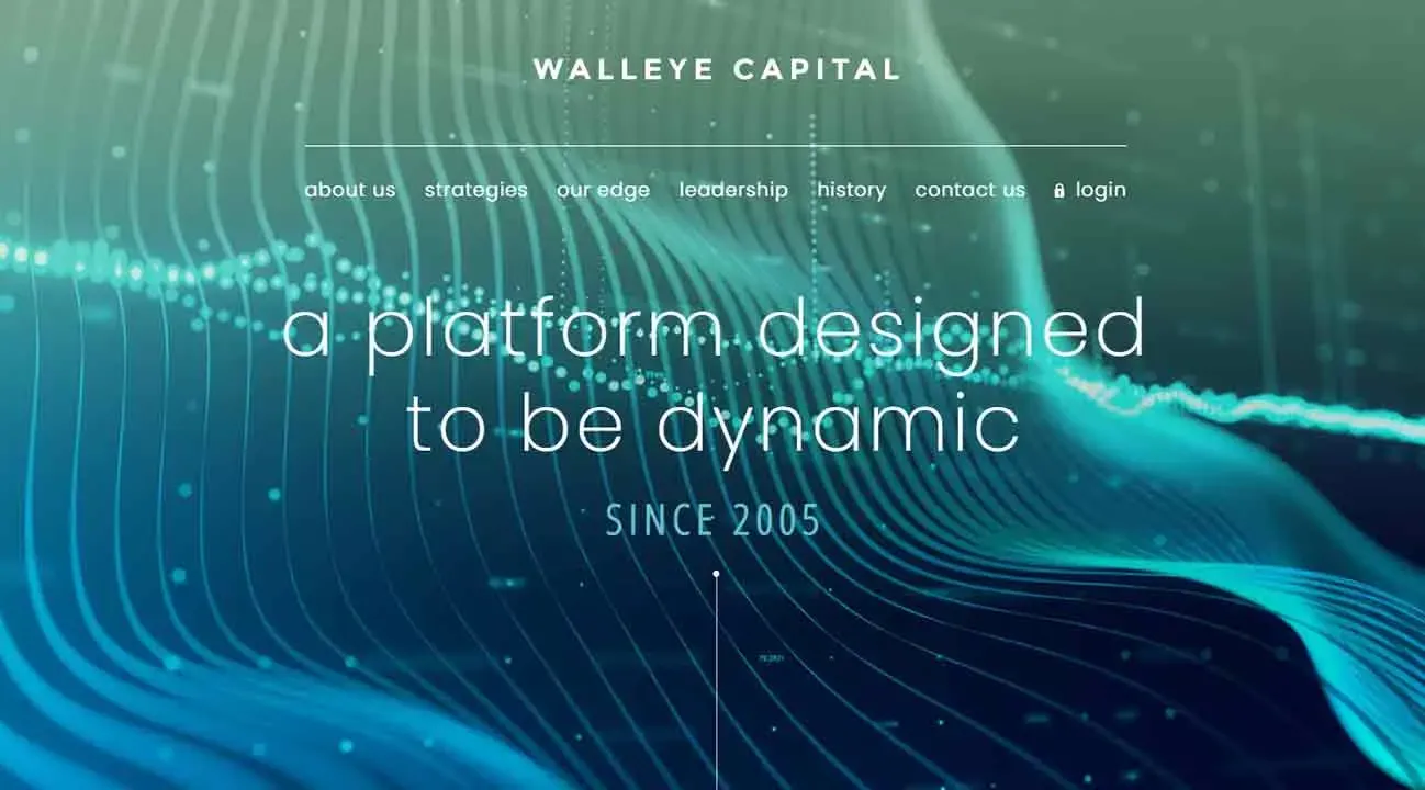 The image displays a digital, abstract background with flowing wave patterns in blue and green hues, overlaid with text stating "a platform designed to be dynamic" and "since 2005," alongside navigation options for a business website.