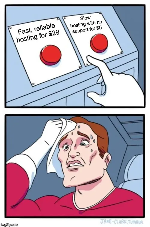 Sweating two-buttons meme choosing between fast reliable $29 hosting and slow $5 hosting