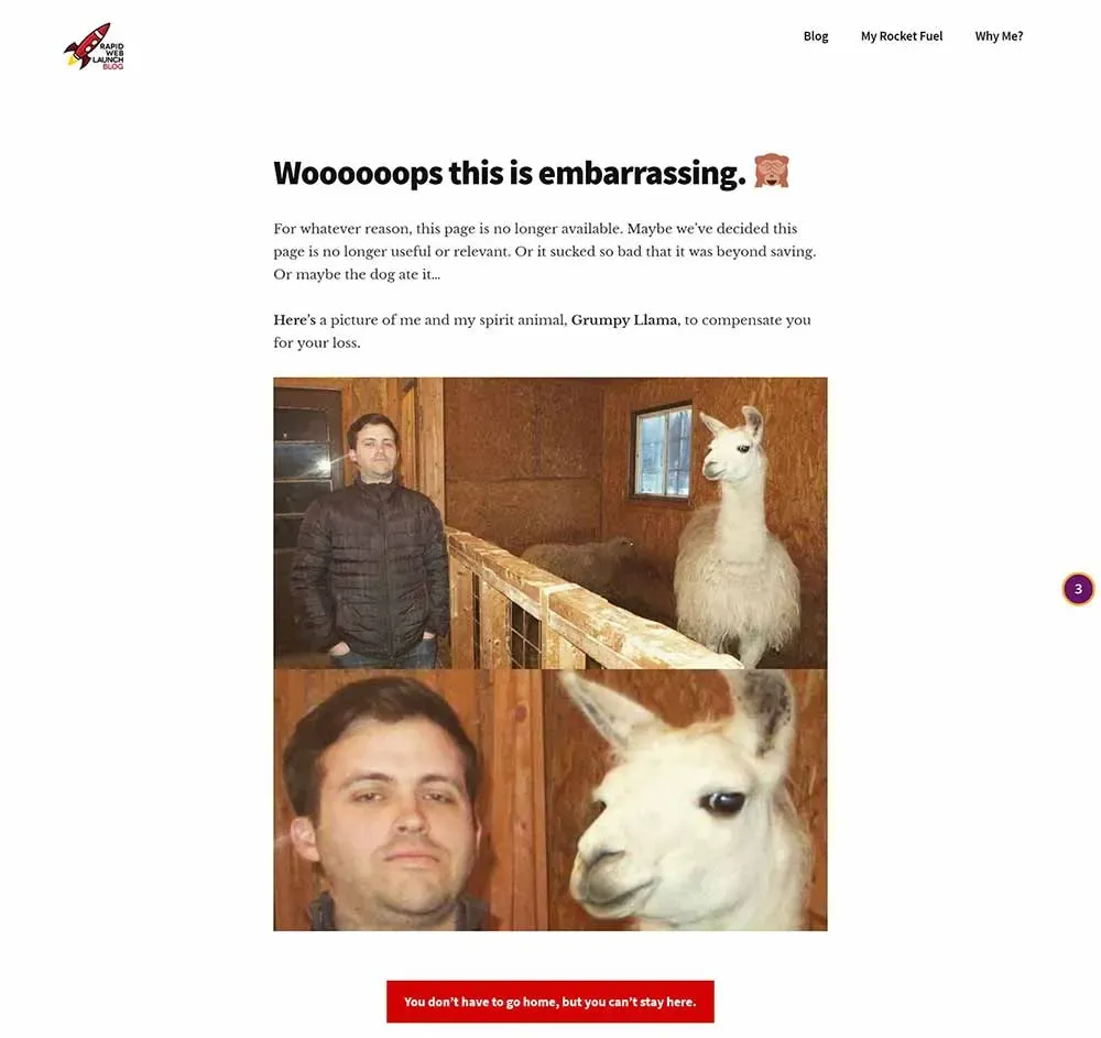 Página 404 humorística de RapidWebLaunch comparando a Patrick con su animal espiritual, una llama gruñona