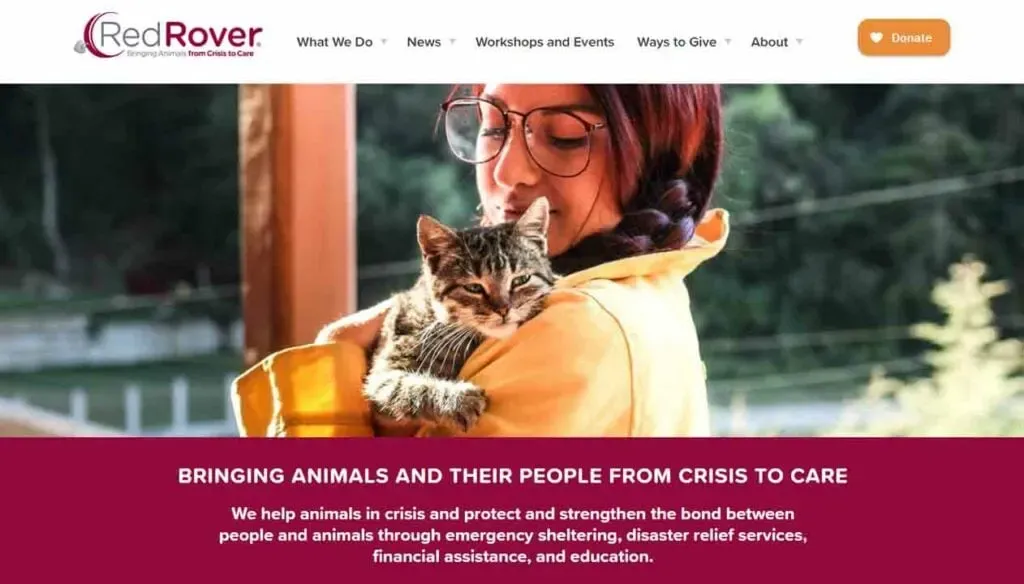 A person in a cozy sweater lovingly holds a content tabby cat outdoors, with the text promoting animal crisis aid and interspecies bonding from the organization Red Rover.