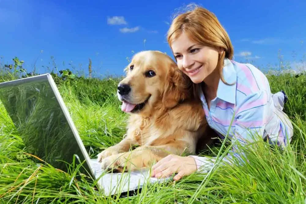 Mujer excesivamente posada sonriendo con un golden retriever en una laptop en un campo verde brillante