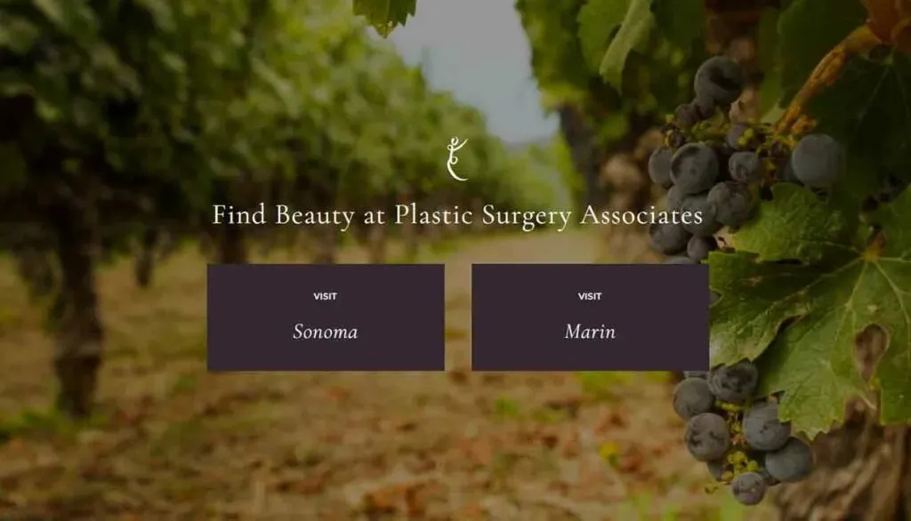 A cluster of ripe black grapes hangs from a vine within a lush vineyard, with rows of vines stretching into the blurred background, conveying a sense of tranquility and natural abundance in a Sonoma wine region setting.
