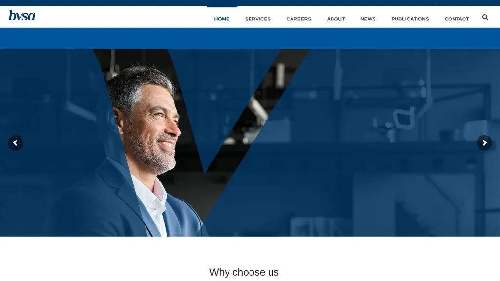 BVSA sitio web
