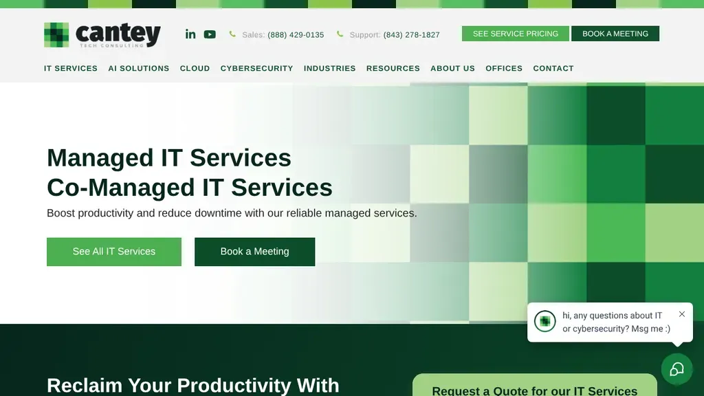 Cantey Tech Consulting sitio web