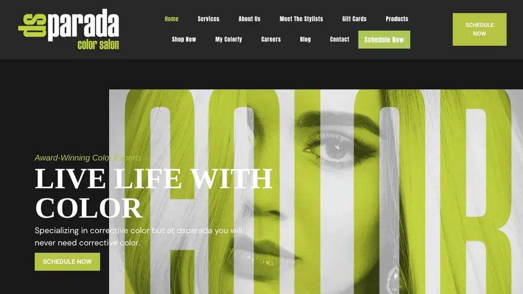dsparada Color Salon website