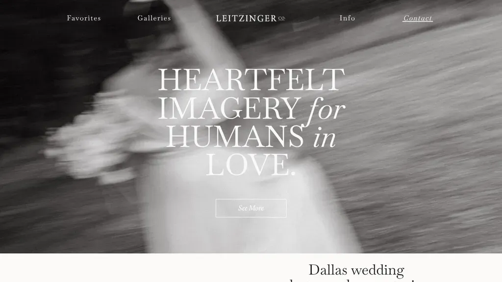 Leitzinger sitio web