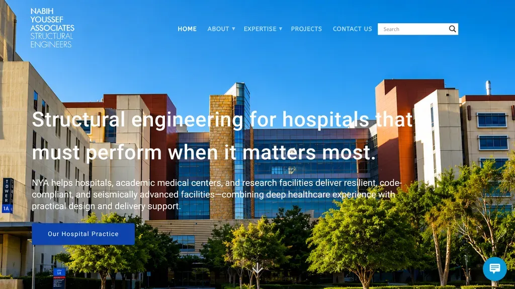Nabih Youssef Associates sitio web