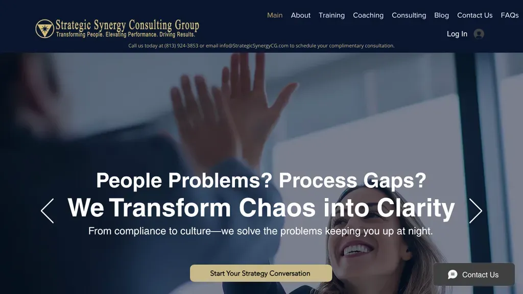 Strategic Synergy Consulting Group sitio web