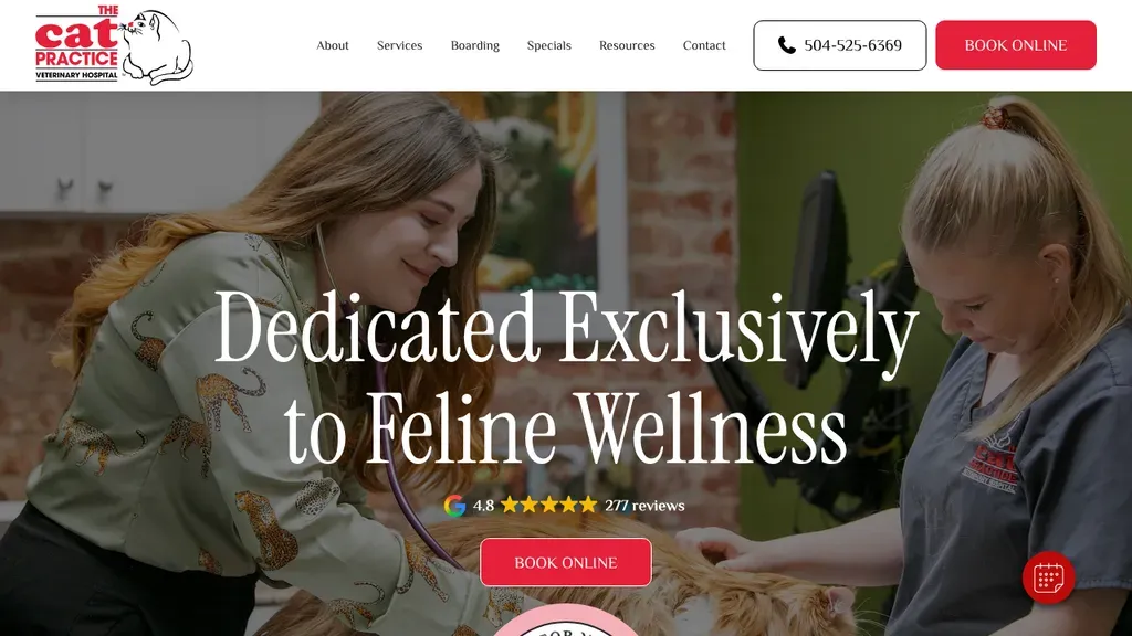 The Cat Practice website
