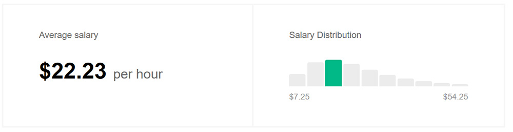 Captura de pantalla de los salarios promedio de diseñadores web en los Estados Unidos