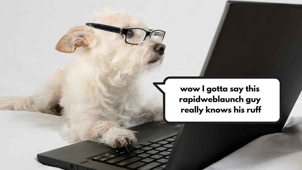 Perro en una laptop aprendiendo contenido de diseño web