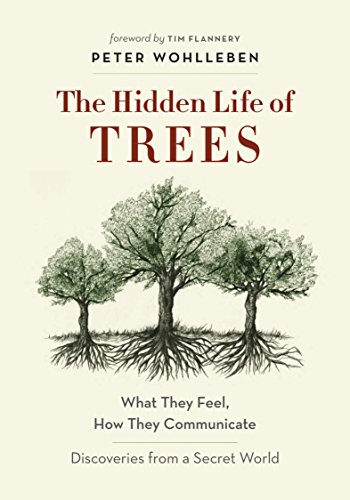 The Hidden Life of Trees book cover