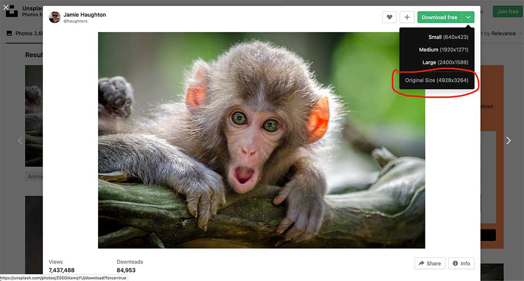 descargando imágenes de alta resolución de unsplash