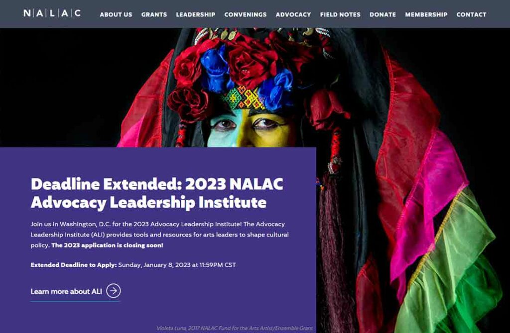 A screenshot of the NALAC painter website.