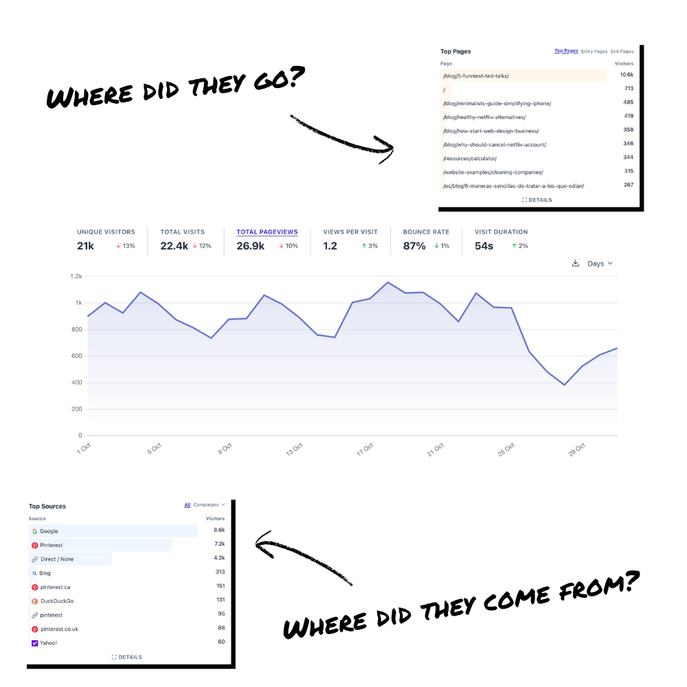 Panel de análisis del sitio web con fuentes de tráfico y páginas vistas.